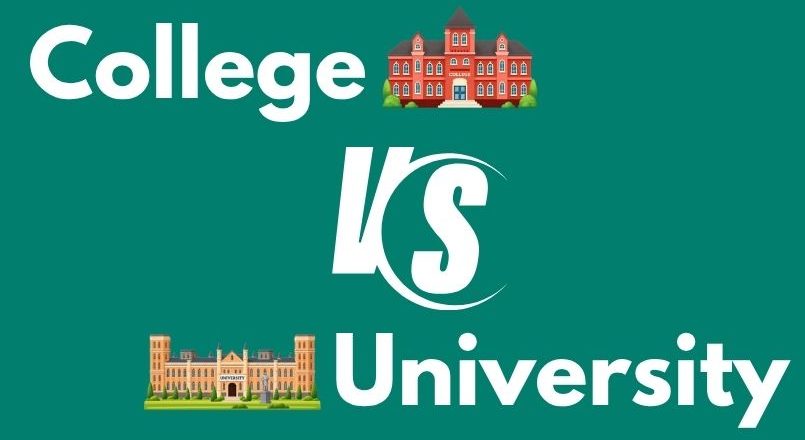 Difference Between College and University