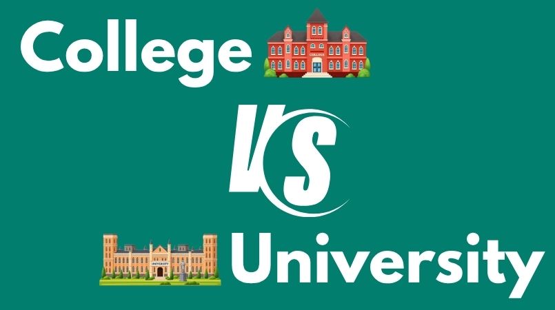 Difference Between College and University