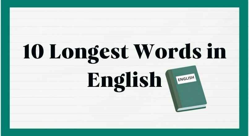 10 Longest Words in English