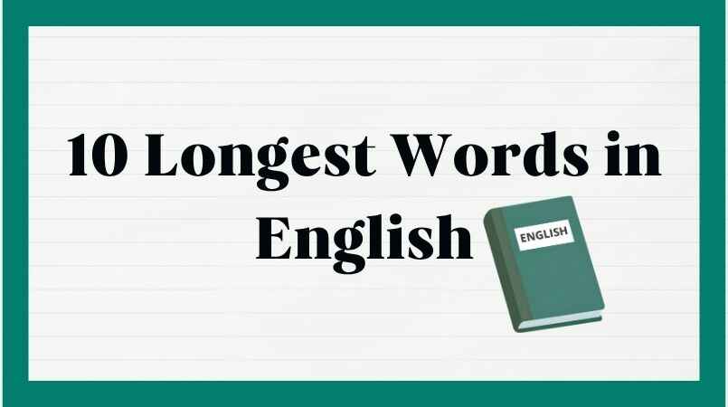 10 Longest Words in English